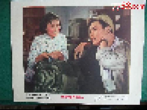 怎么买假的捷克护照扫描件